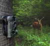 Cree hunting lights uk