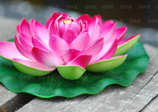 - High-simulation-flower-artificial-foam-flower-Lotus-flower-water-nymph-diameter-28cm-mixed-colors-free-shipping