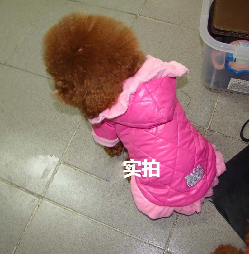 Wholesale dog hoodie pet dress cute Hello Kitty image pet winter coat