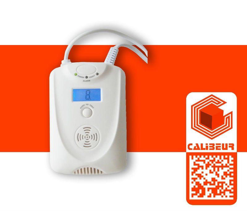 Digital Carbon Monoxide Alarms