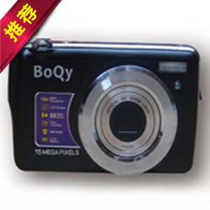 Digital Camera Security System