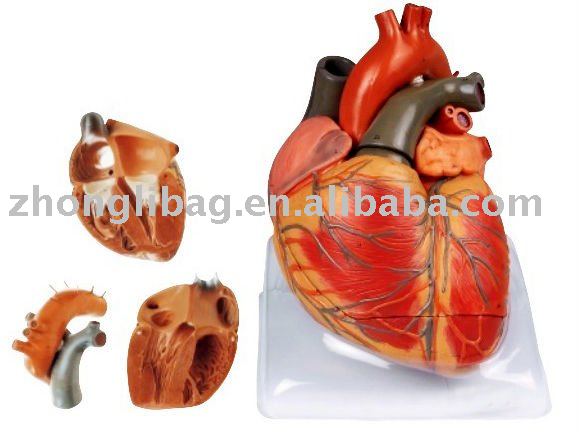 heart images free. tax free upon import,