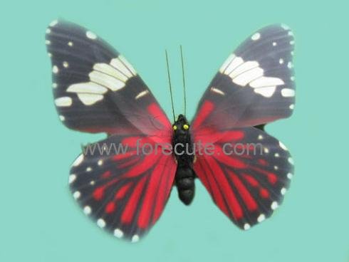 free images of butterflies. feel free to contact us.