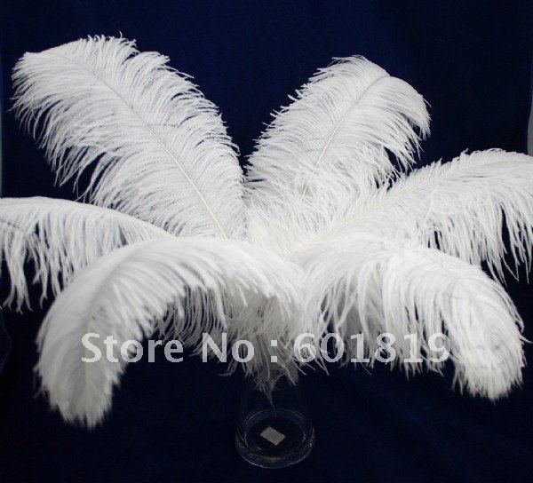  ostrich male wing featherwedding feather center pieceA grade