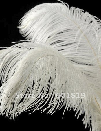  male ostrich wing feather plume usefor wedding centerpiece decoration